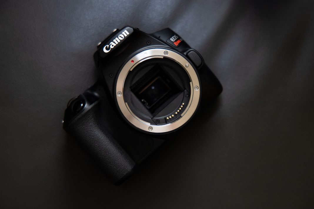 Canon EOS Rebel SL3 review: Digital Photography Review